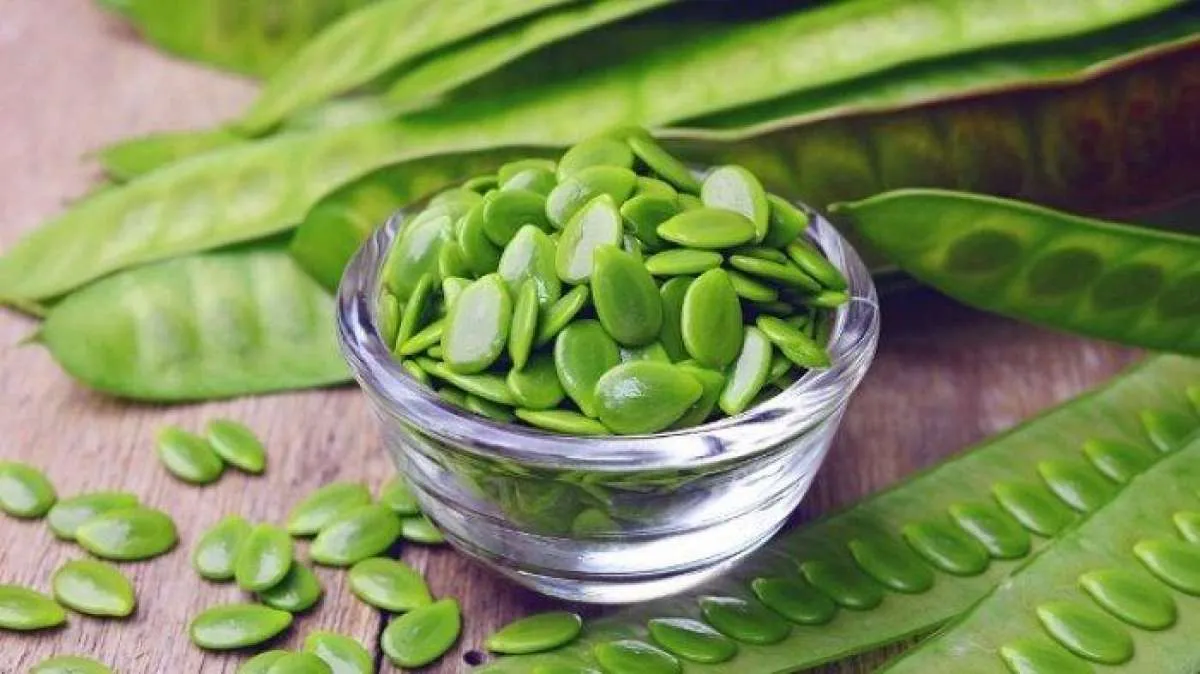 7 Manfaat Petai Cina Jika Dikonsumsi dengan Benar, Banyak Khasiatnya!
