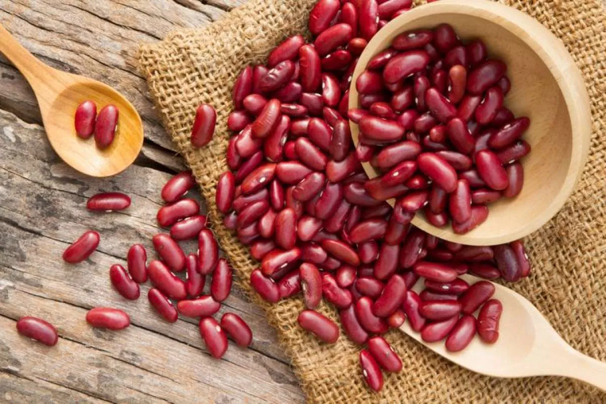 Apa Saja Khasiat Kacang Merah untuk Kesehatan Tubuh?