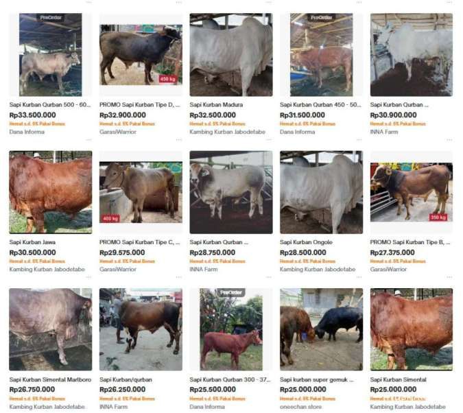 Harga Sapi Kurban Banten