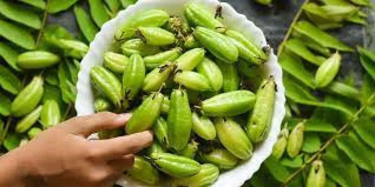 Apa Manfaat Belimbing Wuluh Untuk Kesehatan? Catat 10 Hal Ini