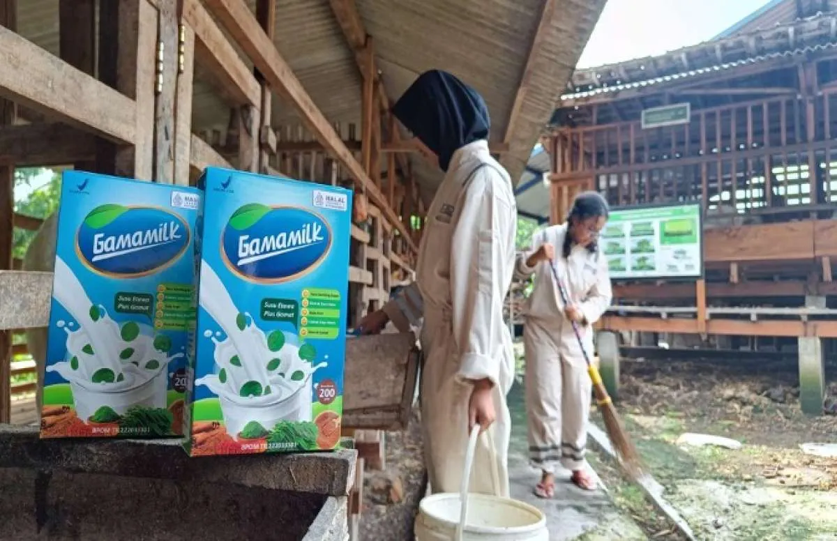 Gamamilk Solusi Alami Masalah Sendi Tidak Bikin Gemuk & Ketergantungan