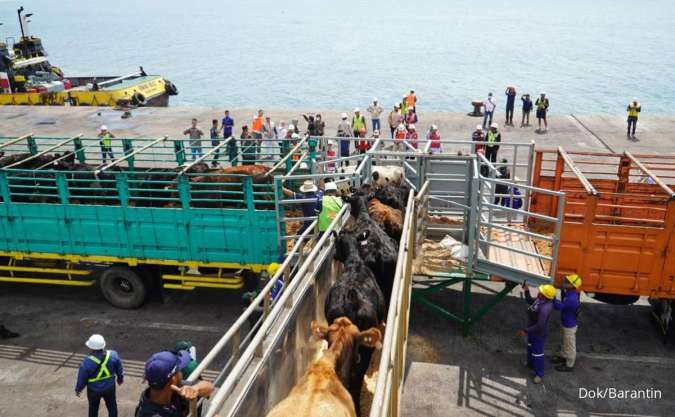 Japfa Impor 1.100 Ekor Sapi dari Australia