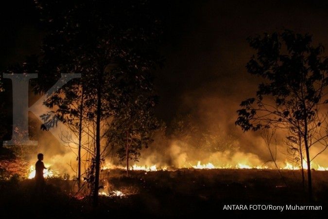 Jokowi: Kerugian kebakaran hutan capai Rp 220 T