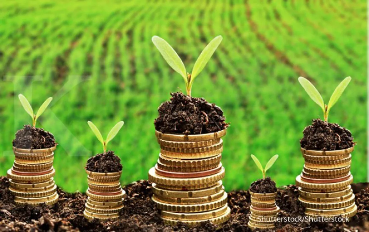 OJK ingin membumikan reksadana seharga Rp 100.000