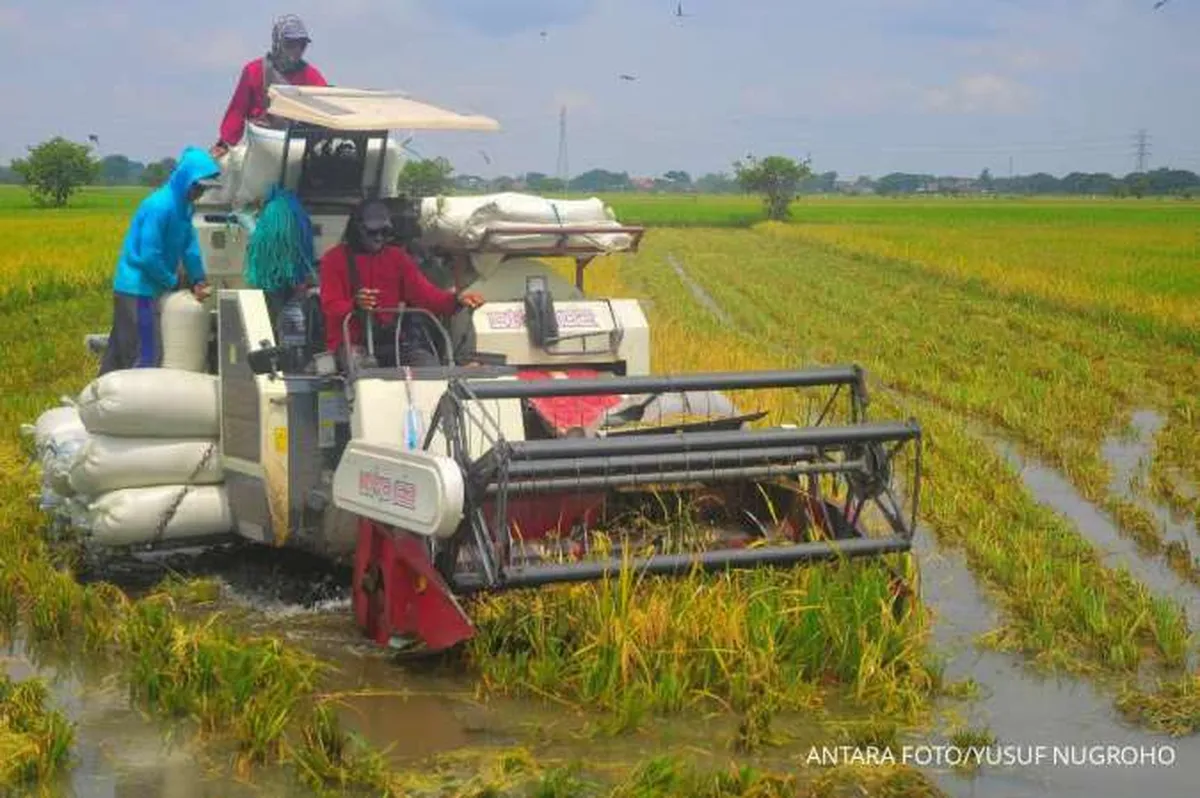 BPS Catat Nilai Tukar Petani pada Juni 2024 Naik 1,77% Menjadi 118,77