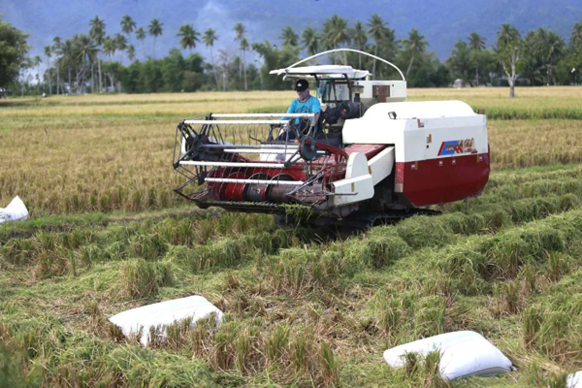 OJK catat realisasi KUR senilai Rp 963,18 miliar di Provinsi Gorontalo