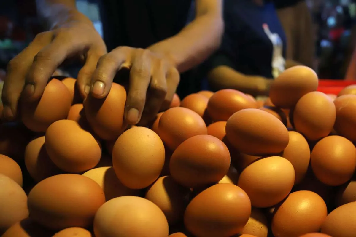 Anda menderita darah rendah? Ini makanan yang bisa menaikkan tekanan darah Anda 