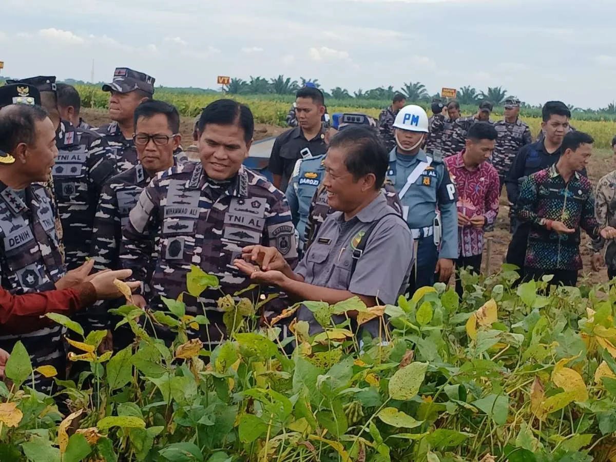 Inovasi Lokal Dorong Kedaulatan Pangan Lewat Kedelai Unggul