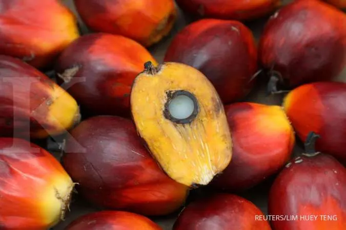 Indonesia Palm Oil Shares, Rupiah Rattled by Export Ban