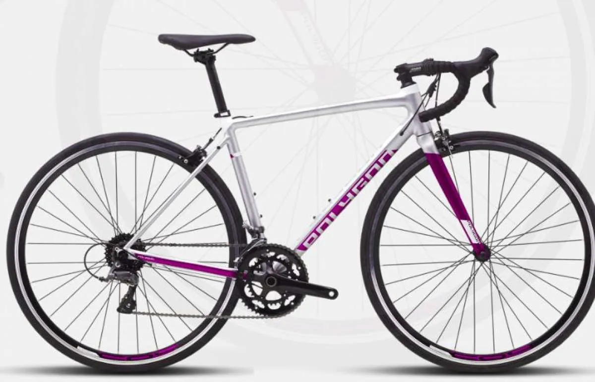 Pas banget buat pecinta gowes di aspal, ini dia harga sepeda Polygon Strattos S2