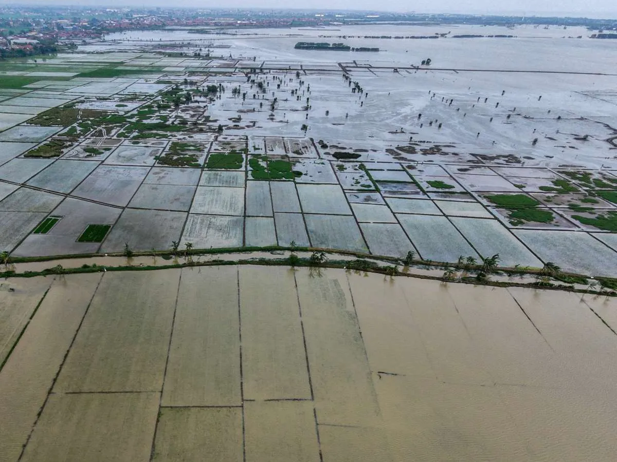 Kementan Usulkan Tambahan Anggaran Rp 5,1 Triliun Untuk Pemulihan Lahan Pasca Bencana