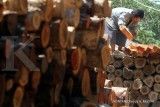 Pebisnis Komoditas Sambut Positif Penundaan UU Antideforestasi Uni Eropa