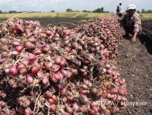 Bawang merah pimpin penurunan harga komoditi pada Agustus 2011