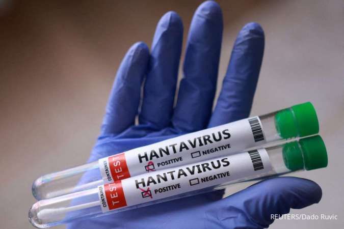 Hantavirus bakal Menjadi Covid Lainnya? Ini Kata WHO