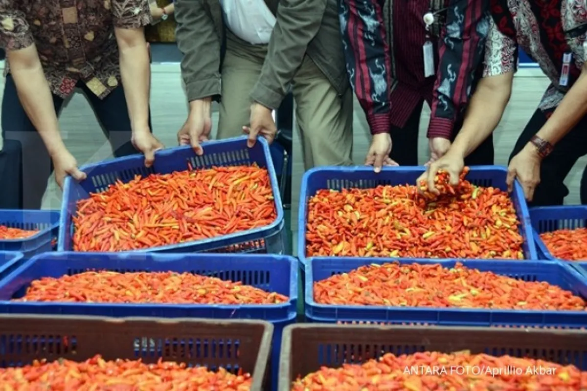 KPPU terus dalami praktik kartel cabai