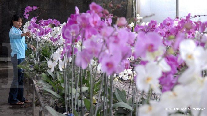 Flower Festival di Bandung diikuti 15 negara