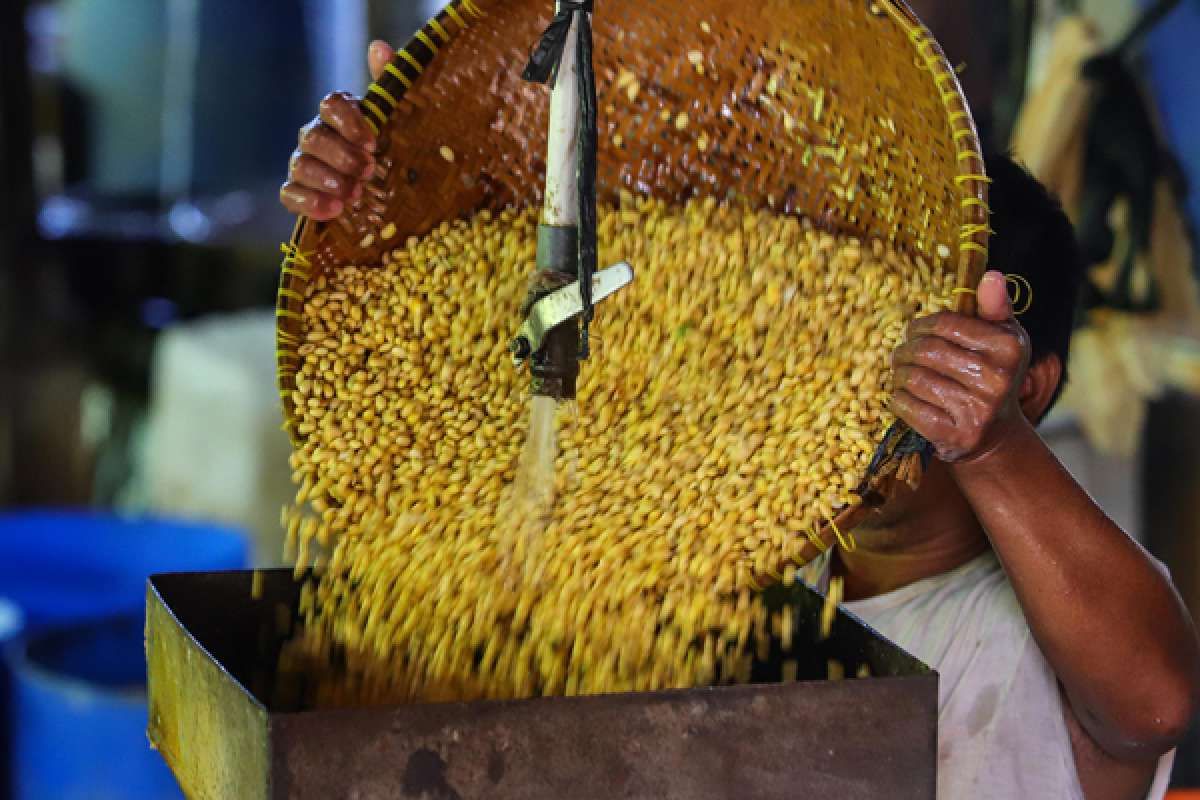 Produksi Kedelai Lokal Bisa  Turun 50% dari Target