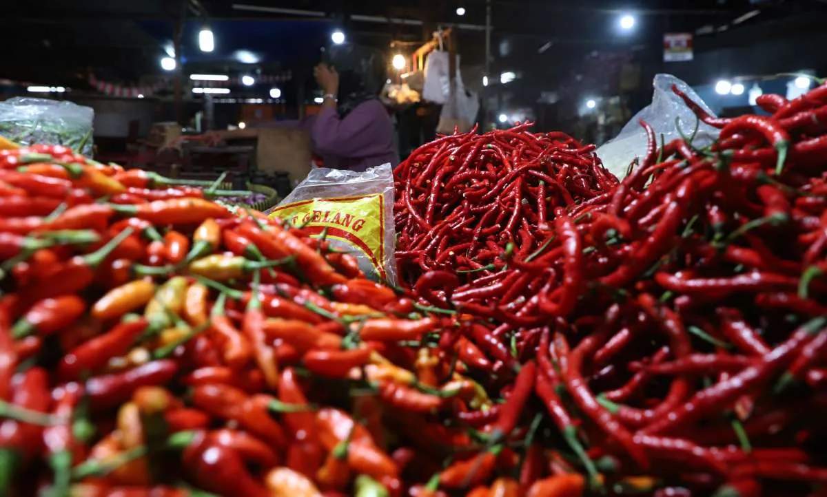 Harga Pangan di Yogya Selasa (10/12): Beras Premium dan Cabai Merah Keriting Naik