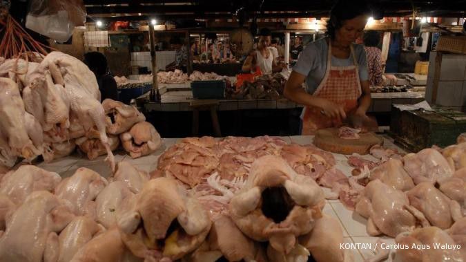 Harga ayam broiler tak senyaring kokoknya