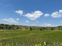 Kementan Pastikan PAT dan Pompanisasi di Kabupaten Boyolali Berjalan Lancar