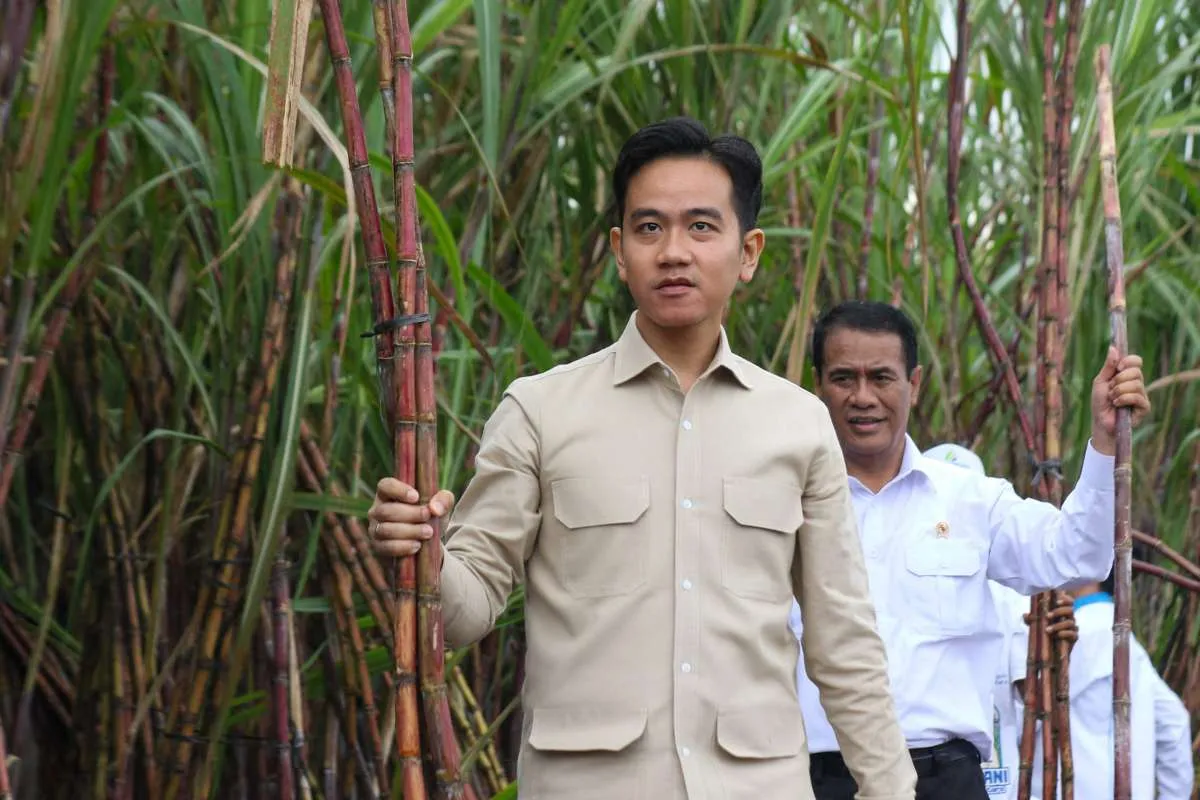 Wapres Gibran Tidak Akan Berkantor di Papua, Menko Yusril Sampaikan Klarifikasi