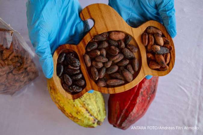 Inovasi Cokelat Rasa Rendang Supaya Bisa Langsung Nendang ke Pasar Global