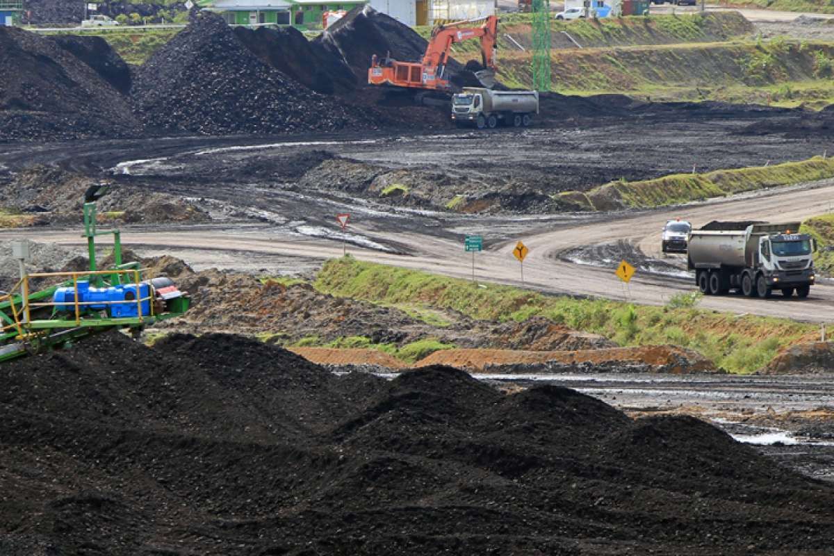 Menuai Berkah Sumber Global Energy (SGER) dari Jualan di Negeri Orang