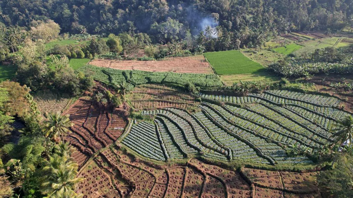 BDSP Pacitan dan Kementan Tingkatkan Kapasitas Pendamping Petani Milenial Jatim