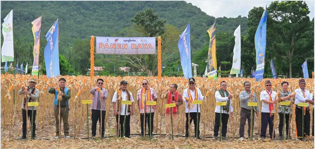 Corn Edu Center: Solusi dan Kolaborasi Inklusif Tingkatkan Produksi Petani Jagung NTT