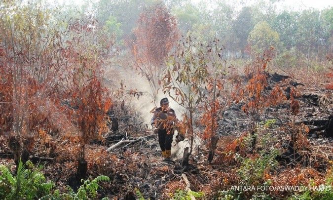 Program pencegahan kebakaran lahan baru efektif di Sumatera