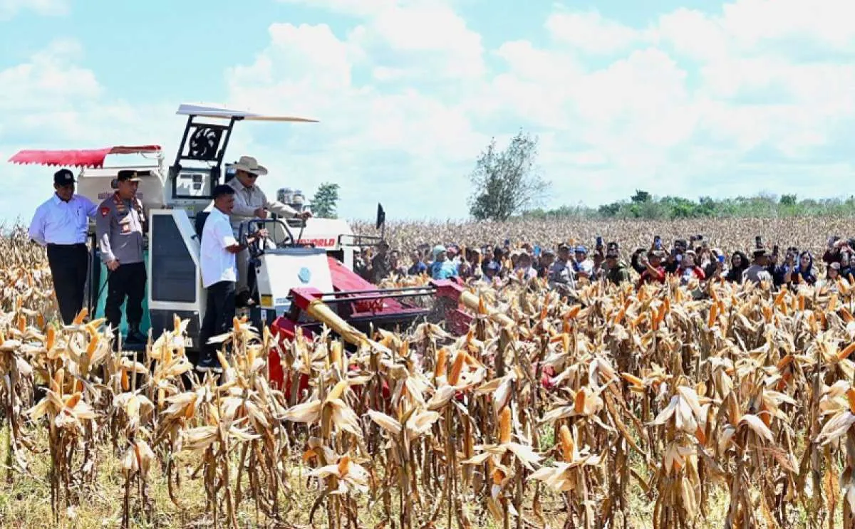 Prabowo Lakukan Panen Raya Jagung Seluas 344.000 Hektare