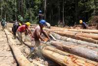 DLHK Pastikan Perusahaan Biomassa di Gorontalo Taat Aturan dan Ikuti Prosedur