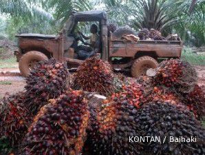 Stok minyak nabati diprediksi seret, harga CPO lanjut reli