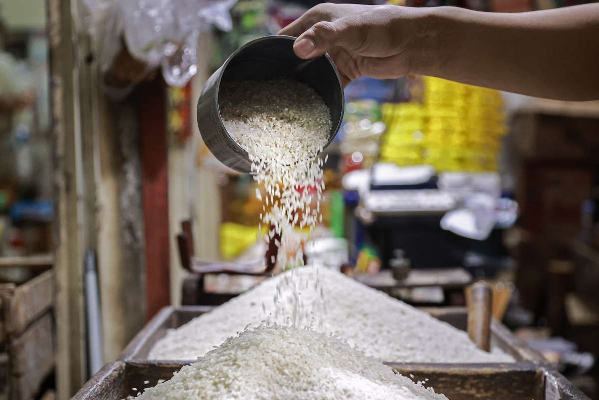 Dilema Harga Eceran Tertinggi Beras dan Daya Beli Masyarakat