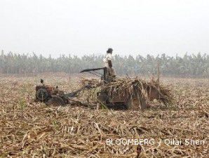 PTPN XI kaji penggabungan pabrik gula di Jatim