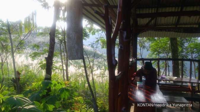Mumpung masih libur, yuk coba mampir ke wisata kebun tebu di Kulon Progo