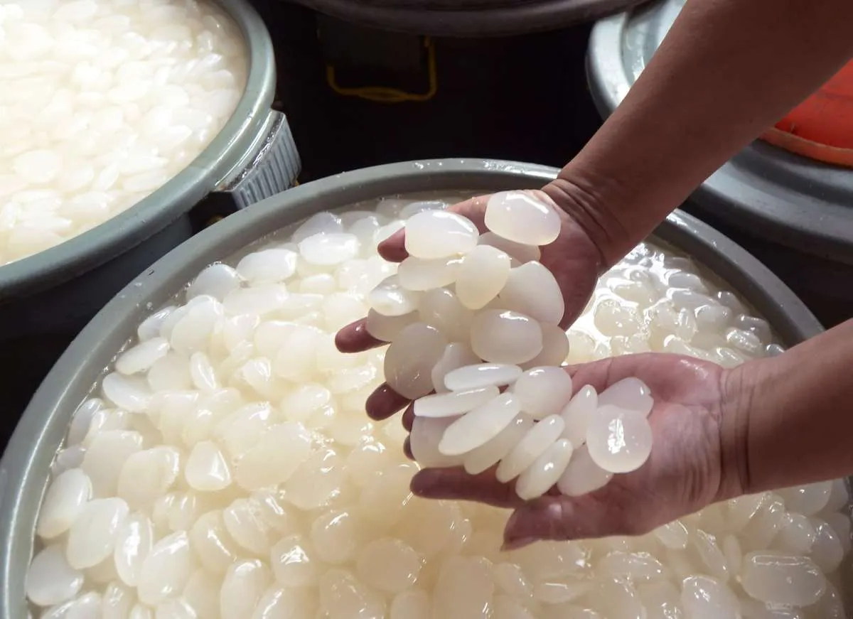 Simak 5 Manfaat Kolang Kaling Untuk Kesehatan, Cocok Jadi Camilan Lebaran