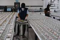 Targetkan 82,9 Juta Penerima Makan Bergizi Gratis, 30.000 SPPG Dibangun Tahun Ini