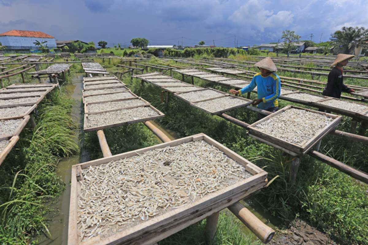 Dapat Subsidi, Penyaluran KUR Bakal Lebih Optimal