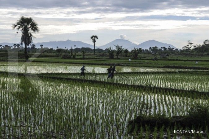 Agustus, 291.700 petani di Banten dapat Kartu Tani