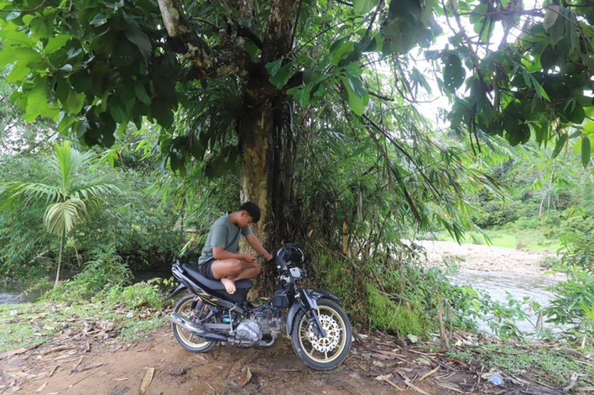  Berkah Menyesap Hutan Tetap Alami, Menuai Menikmat Hasil Kopi