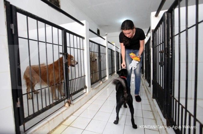  Hewan Peliharaan Dijarah Saat Aksi Massa, Bagaimana Pet Insurance di Indonesia?