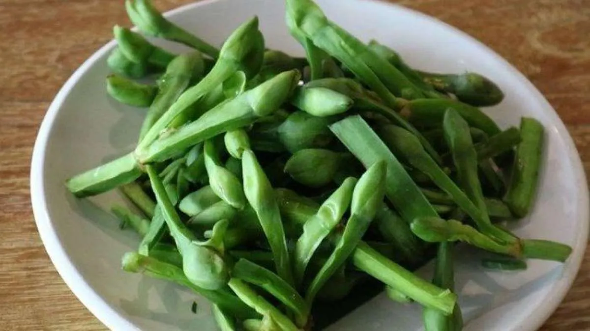 Baik untuk Meningkatkan Kesehatan Tulang, Ini Manfaat Genjer untuk Kesehatan 