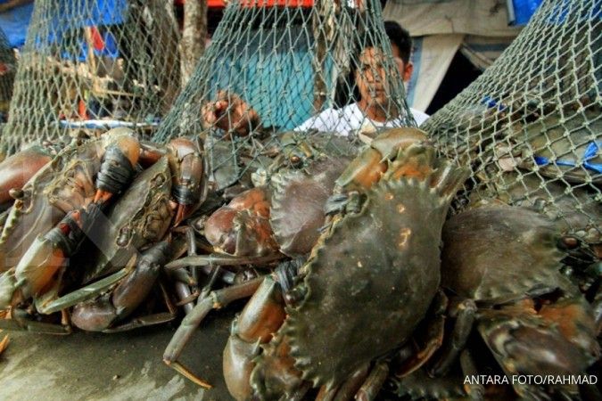 KKP lepasliarkan 1.215 ekor kepiting bakau di Kepulauan Seribu