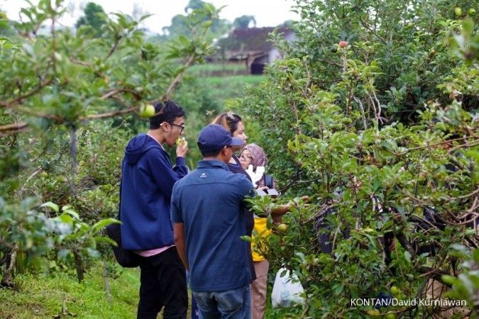 Wisata Petik Jeruk Malang. Jelajah Ekonomi Kontan tol Trans-Jawa