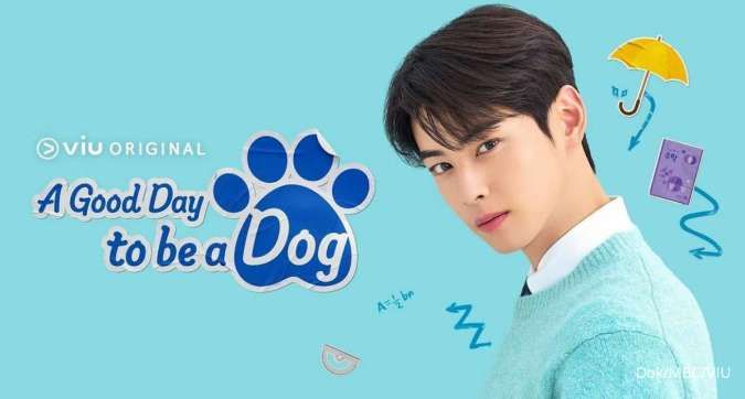 8 Drama Korea Rating Tertinggi di Akhir Oktober 2023, A Good Day To Be A Dog Hiatus