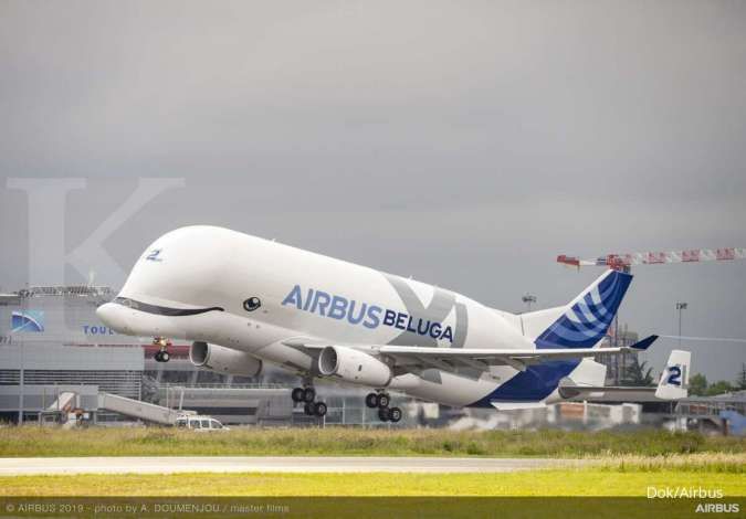 Mengenal BelugaXL, pesawat kargo terbesar di dunia buatan Airbus