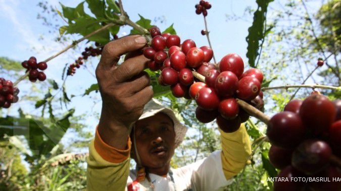 Kekeringan Brazil untungkan eksportir kopi