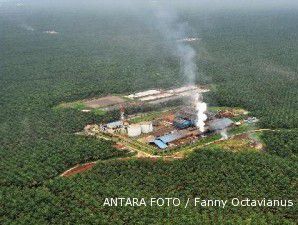 Amerika Serikat tolak memakai CPO untuk biofuel