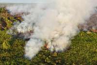 Larangan Pembukaan Lahan pada Musim Kemarau